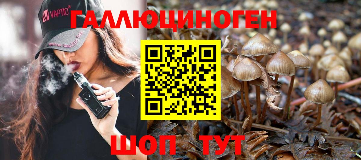 Галлюциногенные грибы мухоморы Будённовск