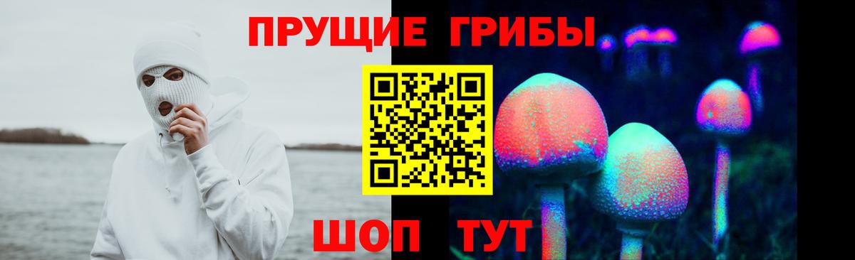 Галлюциногенные грибы ЛСД  Вход с VPN  Будённовск 