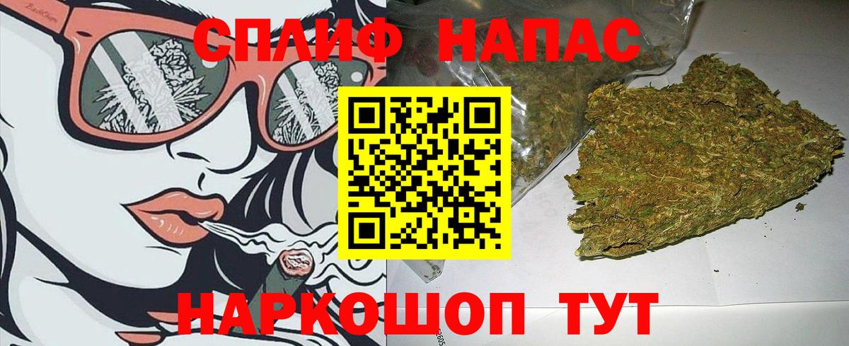 Канабис гибрид Будённовск